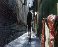 Spider-Man 2 - 8 x 10 Color Photo #37