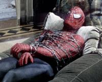 Spider-Man 2 - 8 x 10 Color Photo #40