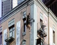 Spider-Man 2 - 8 x 10 Color Photo #48