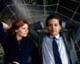 Spider-Man 3 - 8 x 10 Color Photo #4