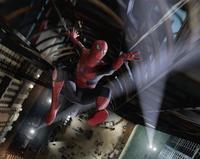 Spider-Man 3 - 8 x 10 Color Photo #1