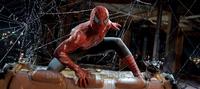Spider-Man 3 - 8 x 10 Color Photo #6
