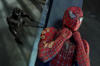 Spider-Man 3 - 8 x 10 Color Photo #8