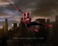 Spider-Man 3 - 8 x 10 Color Photo #39