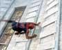 Spider-Man - 8 x 10 Color Photo #55