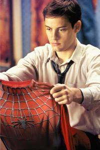 Spider-Man - 8 x 10 Color Photo #1