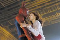 Spider-Man - 8 x 10 Color Photo #6