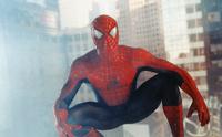 Spider-Man - 8 x 10 Color Photo #17