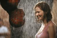 Spider-Man - 8 x 10 Color Photo #18