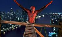 Spider-Man - 8 x 10 Color Photo #22