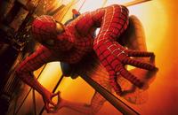 Spider-Man - 8 x 10 Color Photo #51