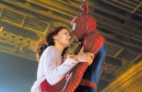 Spider-Man - 8 x 10 Color Photo #50