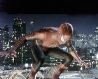 Spider-Man - 8 x 10 Color Photo #40