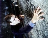 Spider-Man - 8 x 10 Color Photo #41
