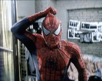 Spider-Man - 8 x 10 Color Photo #42
