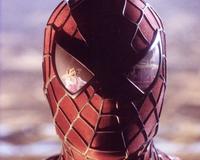 Spider-Man - 8 x 10 Color Photo #45
