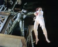 Spider-Man - 8 x 10 Color Photo #49