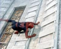 Spider-Man - 8 x 10 Color Photo #55