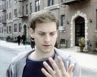 Spider-Man - 8 x 10 Color Photo #57
