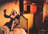 Spider - 8 x 10 Color Photo #13