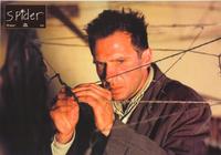Spider - 8 x 10 Color Photo #10