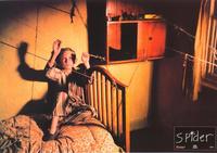 Spider - 8 x 10 Color Photo #13