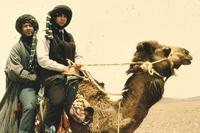 Spies Like Us - 8 x 10 Color Photo #15