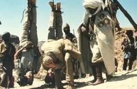 Spies Like Us - 8 x 10 Color Photo #21