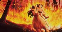 Spirit: Stallion of the Cimarron - 8 x 10 Color Photo #5