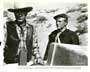 Springfield Rifle - 8 x 10 B&W Photo #1