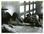 Springfield Rifle - 8 x 10 B&W Photo #3