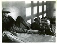 Springfield Rifle - 8 x 10 B&W Photo #3