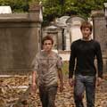 Stay Alive - 8 x 10 Color Photo #5