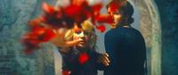 Stay Alive - 8 x 10 Color Photo #2