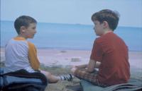 Stolen Summer - 8 x 10 Color Photo #1