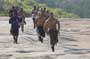 Stomp the Yard - 8 x 10 Color Photo #14