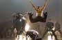 Stomp the Yard - 8 x 10 Color Photo #16