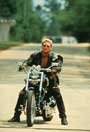Stone Cold - 8 x 10 Color Photo #1