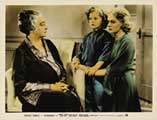 Stowaway - 8 x 10 Color Photo #4