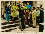 Stowaway - 8 x 10 Color Photo #5