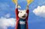 Stuart Little 2 - 8 x 10 Color Photo #12