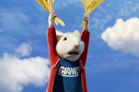 Stuart Little 2 - 8 x 10 Color Photo #12