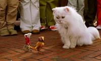 Stuart Little 2 - 8 x 10 Color Photo #26