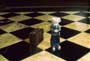 Stuart Little - 8 x 10 Color Photo #6