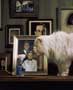 Stuart Little - 8 x 10 Color Photo #21