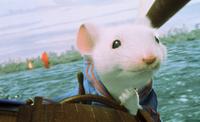 Stuart Little - 8 x 10 Color Photo #1