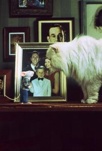 Stuart Little - 8 x 10 Color Photo #4