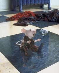 Stuart Little - 8 x 10 Color Photo #22