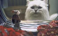 Stuart Little - 8 x 10 Color Photo #23