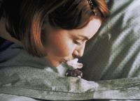 Stuart Little - 8 x 10 Color Photo #25